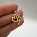 پلاک تو و قلب