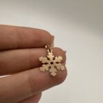 پلاک دونه برف