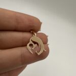 پلاک مادر و فرزند