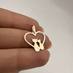 پلاک پیشی و قلب