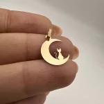 پلاک پیشی و ماه