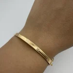 بنگل کارتیه لاو