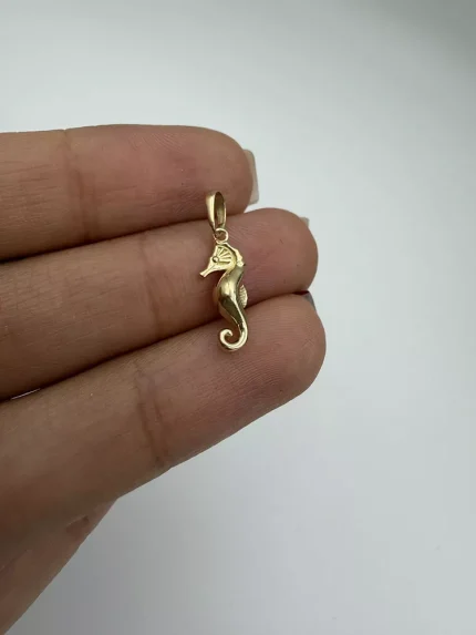 پلاک اسب آبی