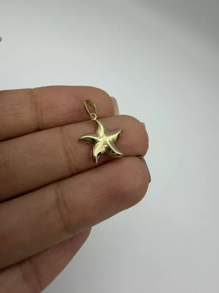 پلاک ستاره دریایی