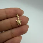 پلاک لاکپشت