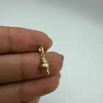پلاک گوش ماهی