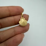 پلاک صدف