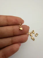 پلاک ستاره دامله