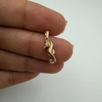 پلاک اسب آبی