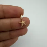 پلاک ستاره دریایی