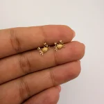 گوشواره خرچنگ